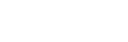 iNDiGO logo